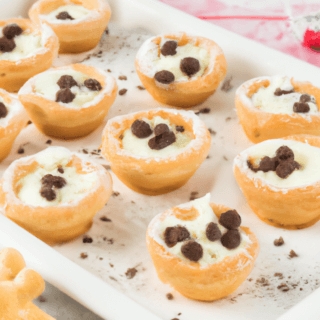 MINI CANNOLI CUPS 8 MINI CANNOLI CUPS