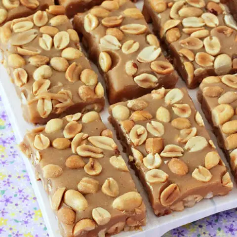 COPYCAT PAYDAY CANDY BARS