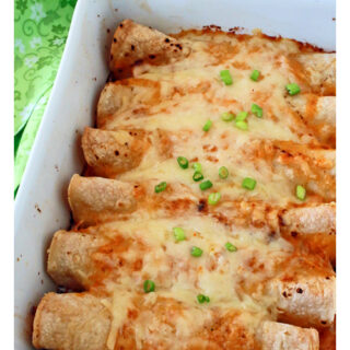 BUFFALO CHICKEN ENCHILADAS