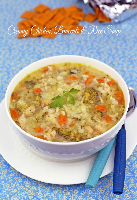 Creamy Chicken Broccoli and Rice Soup - Taste Of Recipe