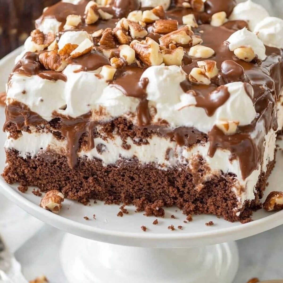 Mississippi Mud Cake