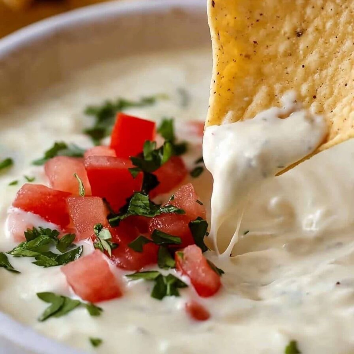 WHITE QUESO DIP
