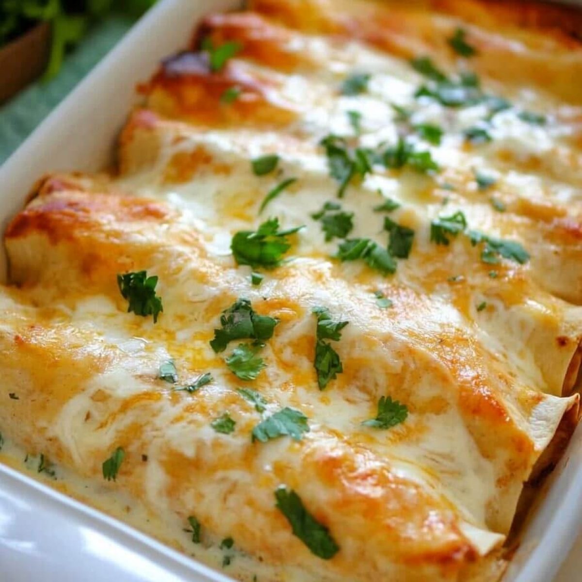 Chicken Enchiladas with Sour Cream White Sauce