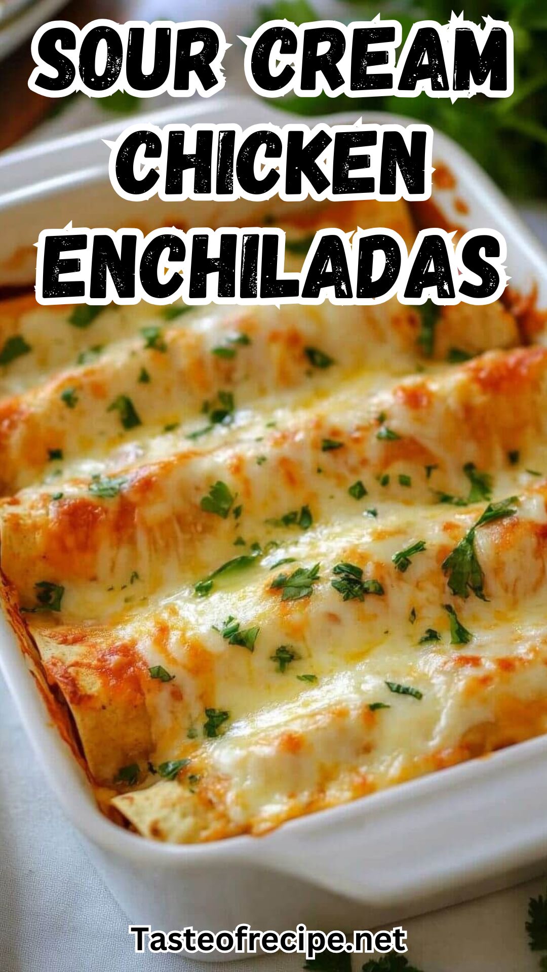 Chicken Enchiladas with Sour Cream White Sauce Chicken Enchiladas with Sour Cream White Sauce