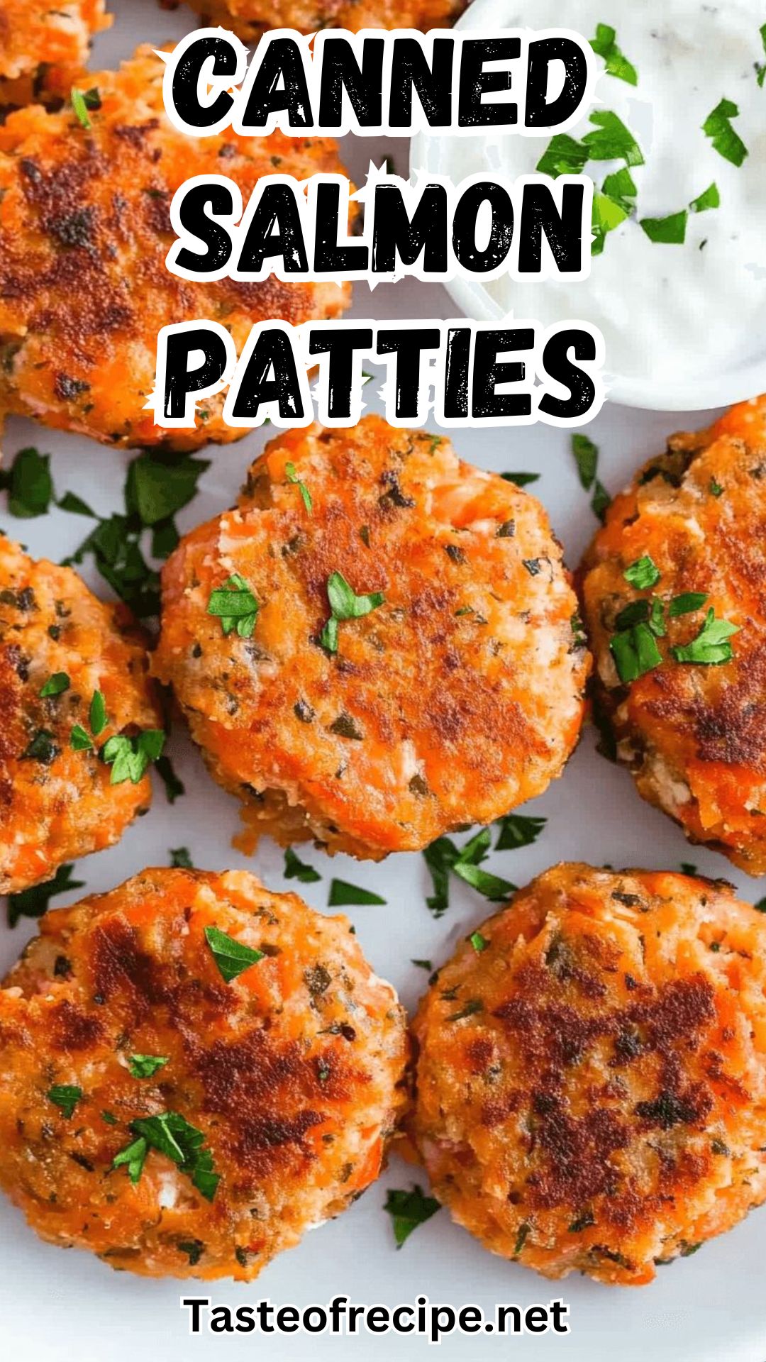 Canned Salmon Patties Canned Salmon Patties