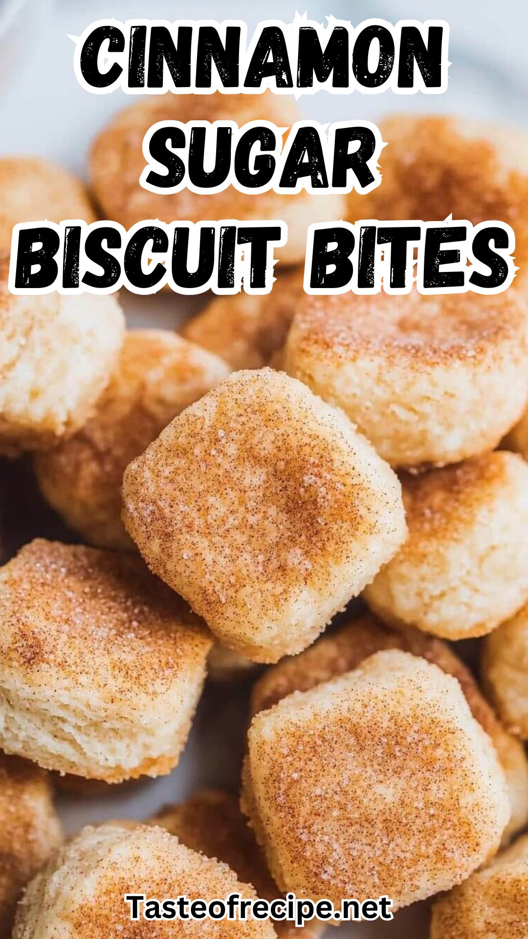 Cinnamon Sugar Biscuit Bites Cinnamon Sugar Biscuit Bites