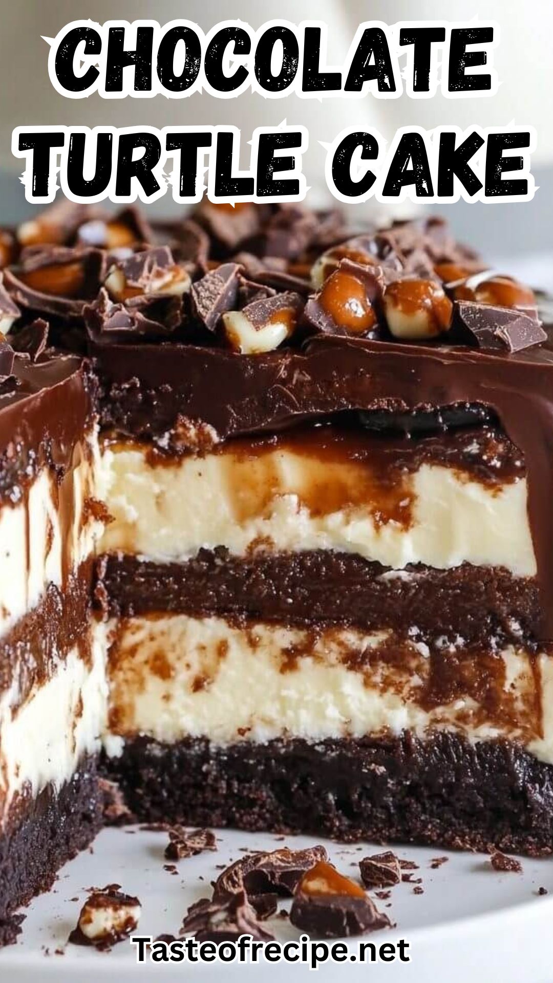 Chocolate Turtle Cake Chocolate Turtle Cake