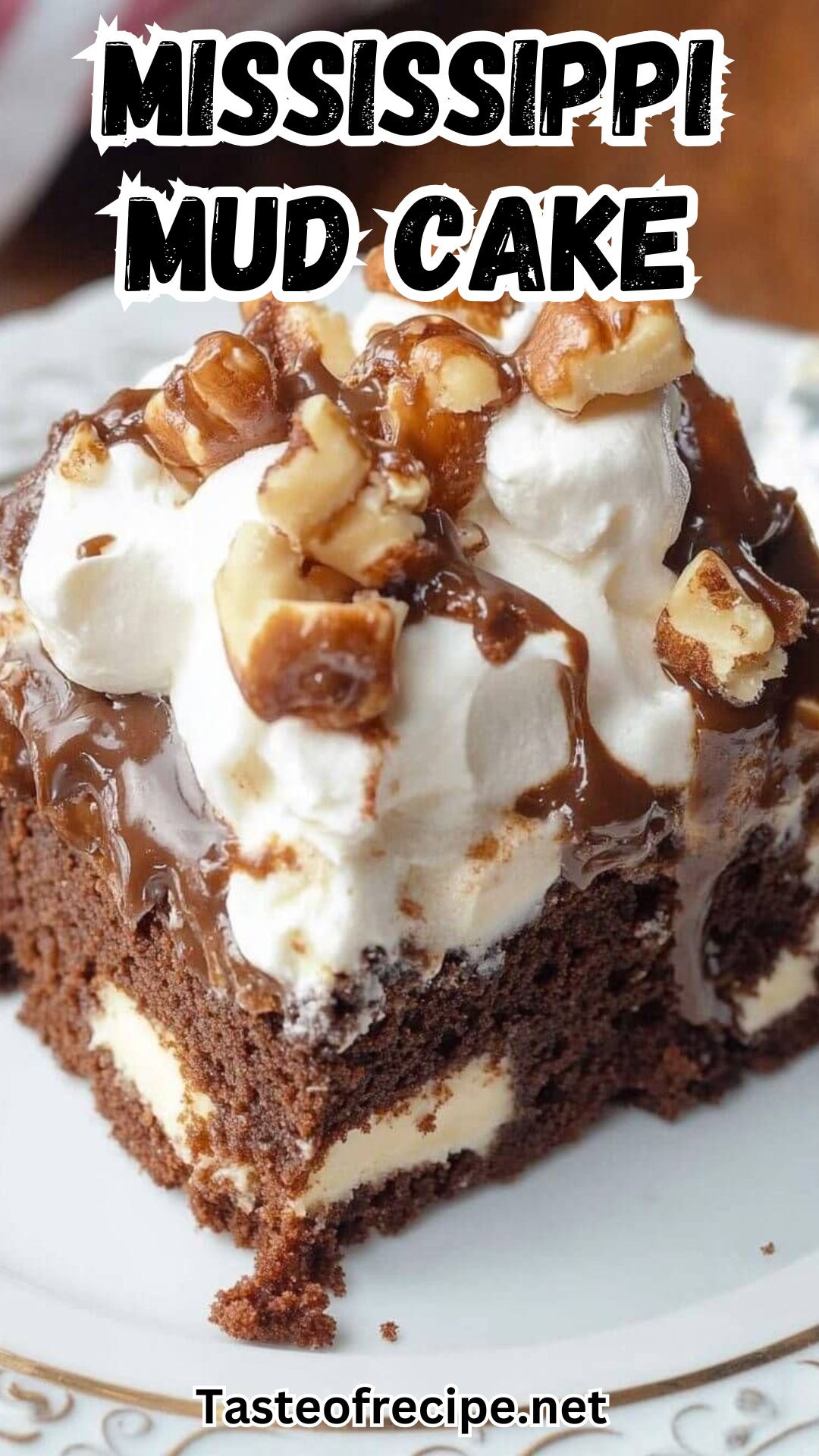 Mississippi Mud Cake Mississippi Mud Cake