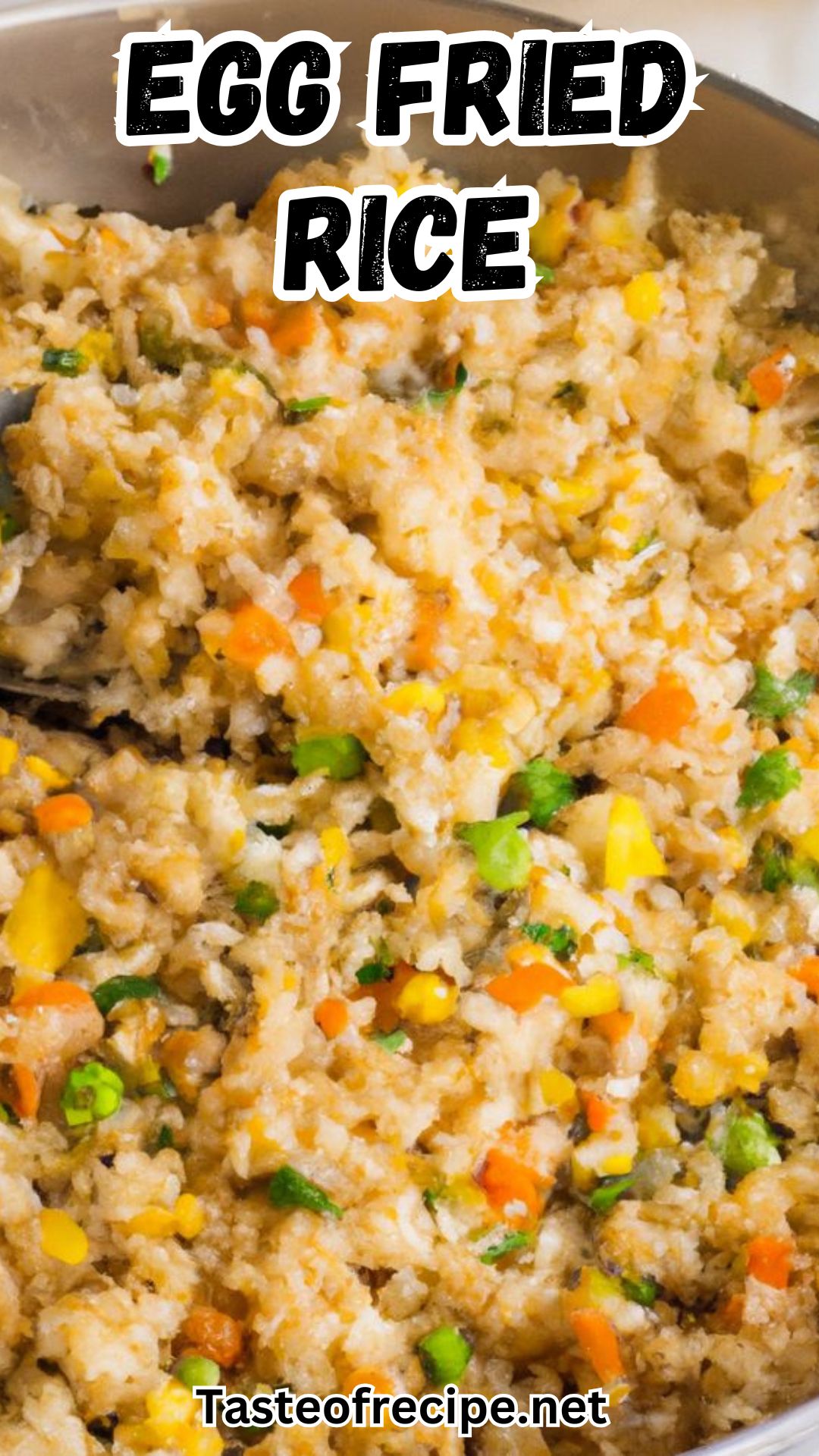 EGG FRIED RICE RECIPE EGG FRIED RICE RECIPE