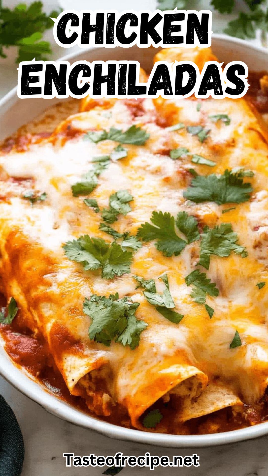 Chicken Enchiladas Chicken Enchiladas
