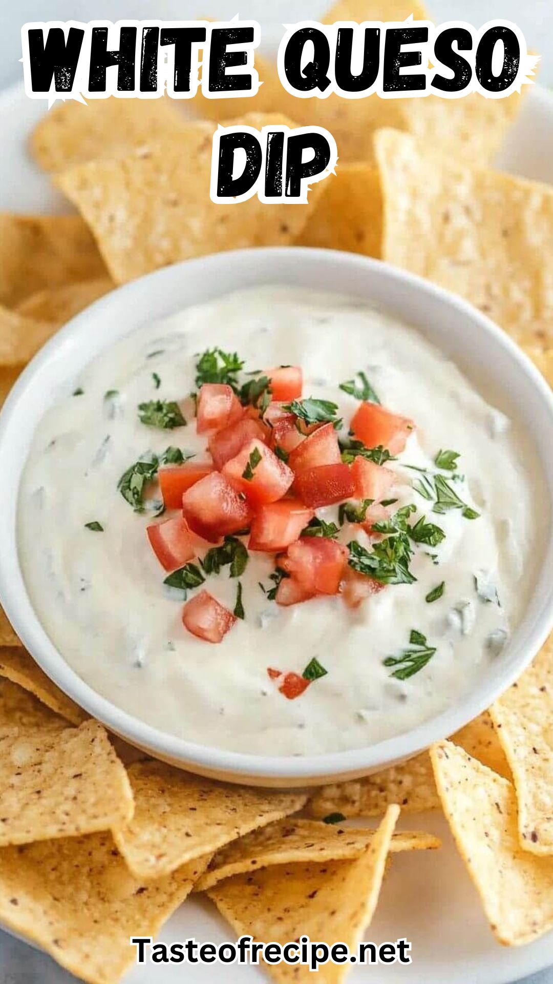 WHITE QUESO DIP WHITE QUESO DIP